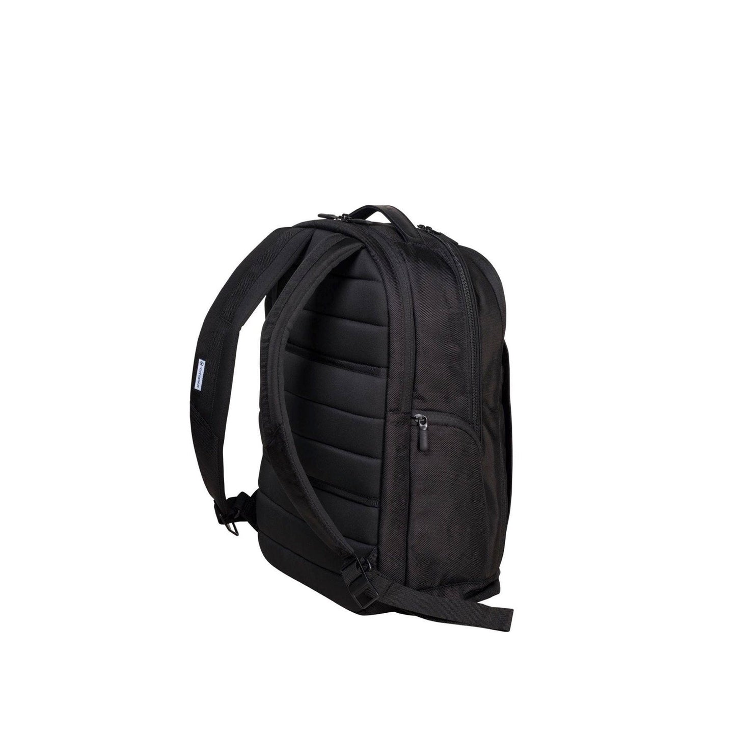 Victorinox Altmont Professional Essentials Laptop Backpack (602154)