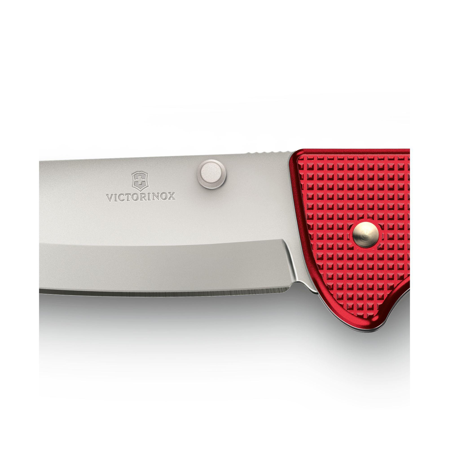 Victorinox Evoke Alox (0.9415.D20)